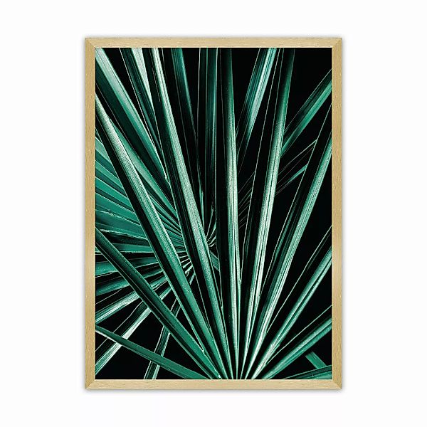 Poster Dark Palm Tree, 30 x 40 cm , Rahmen wählen: gold günstig online kaufen