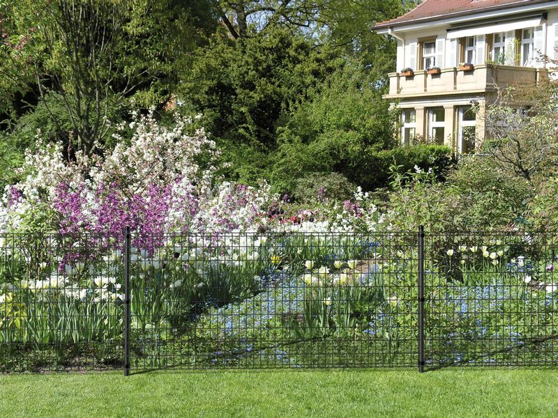 Alberts Schweißgitter Fix-Clip Pro®, (Set), Höhe: günstig online kaufen