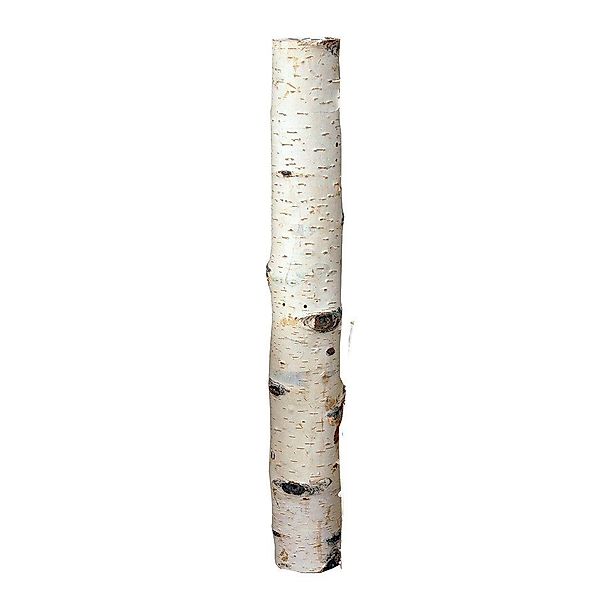 iWerk Dekofigur Birkenholzsticks 100% Natur 40 günstig online kaufen