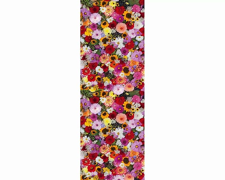 Dekopanel "Bunte Blumen" 1,00x2,80 m / Glattvlies Perlmutt günstig online kaufen