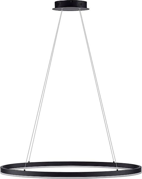 Paul Neuhaus Pendelleuchte TITUS, Memory, nach Trennung vom Netz, LED fest günstig online kaufen