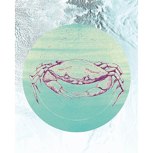 Komar Wandbild Crab Sea 50 x 70 cm günstig online kaufen