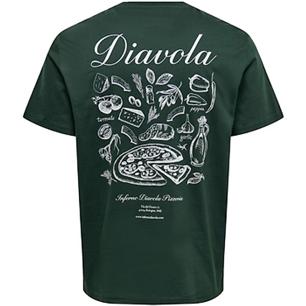 Only & Sons   T-Shirt T-Shirt ONSFRED OSTERIA Kurzarmshirt günstig online kaufen