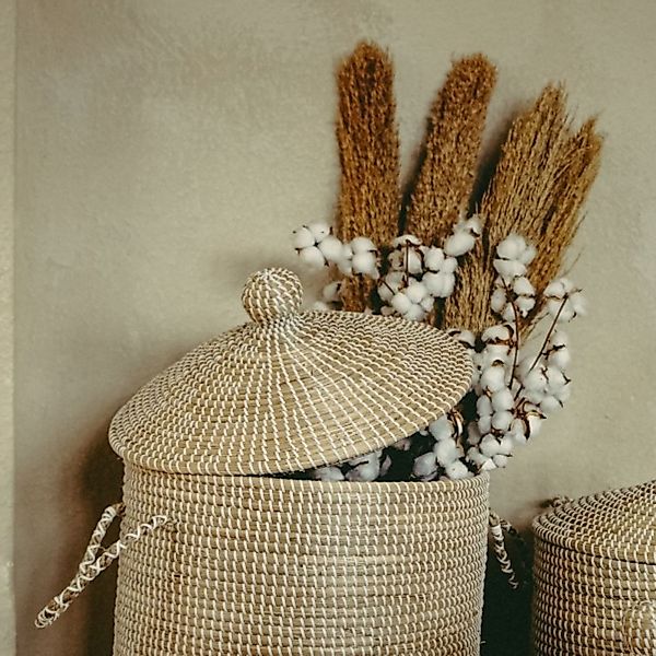 Pampasgras natur ca. 110–125 cm – Dekostaude günstig online kaufen