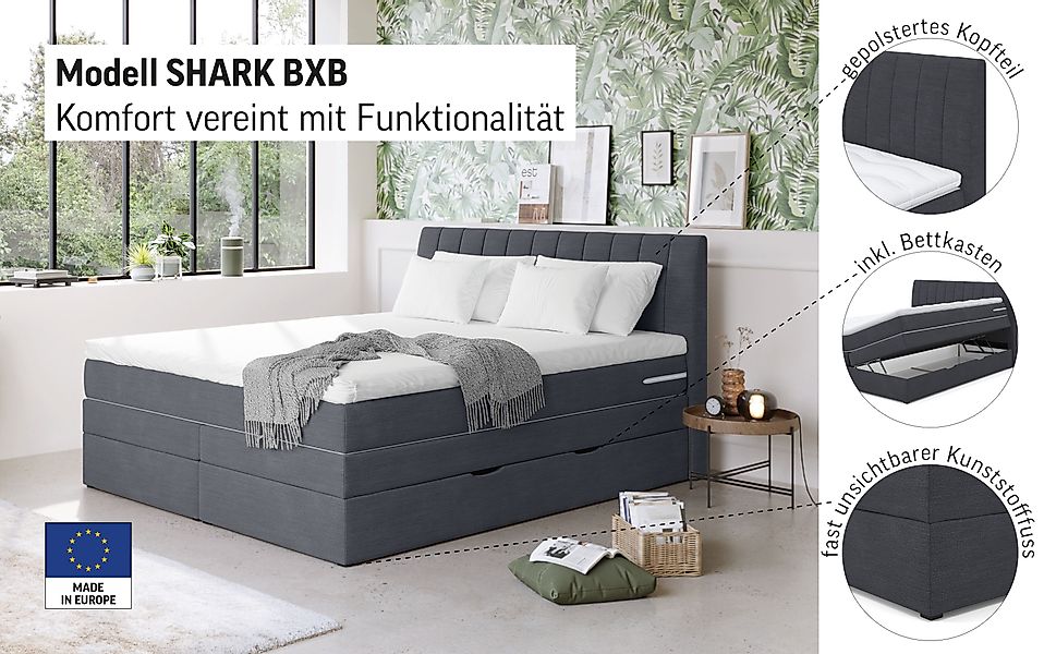 COTTA Boxspringbett »Shark inkl. Bettkasten und Topper«, erhältlich in den günstig online kaufen