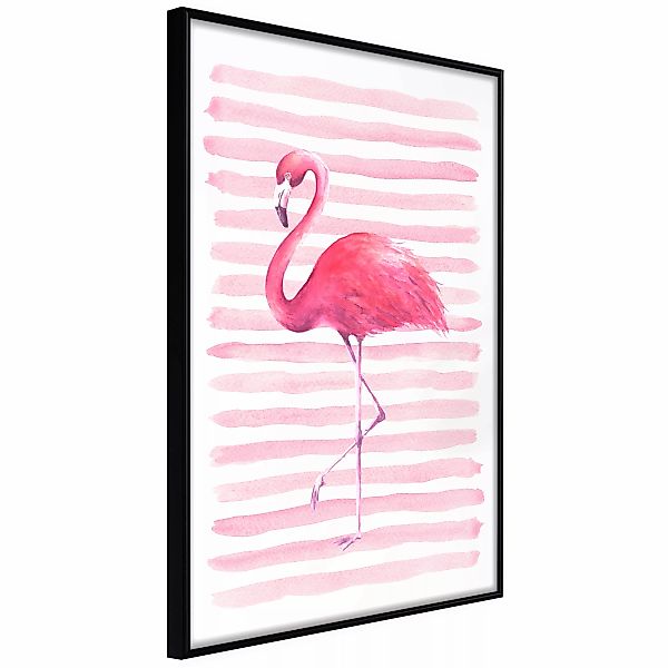 Poster - Pink Madness günstig online kaufen