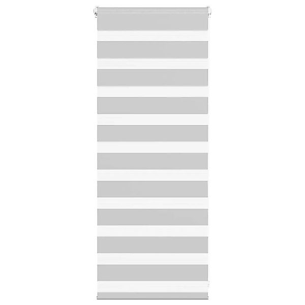 vidaXL Doppelrollo Hellgrau 65x100 cm Stoffbreite 60,9 cm Polyester 4014410 günstig online kaufen