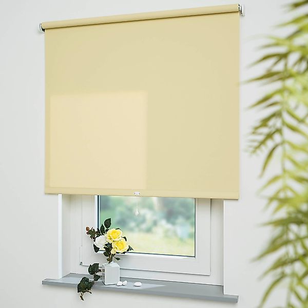 Springrollo Uni, Liedeco, Lichtschutz, mit Bohren, günstig online kaufen