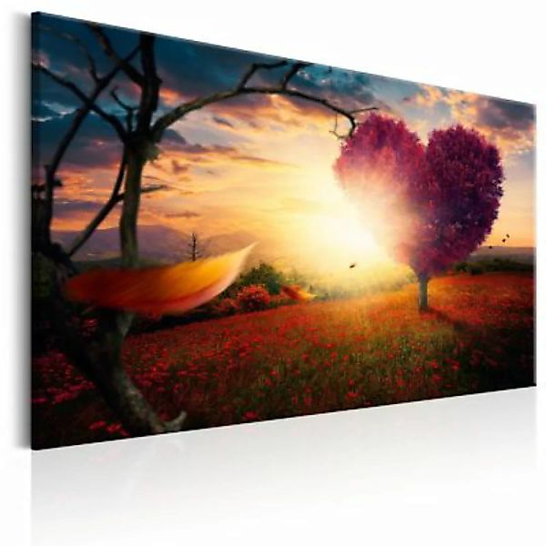 artgeist Wandbild Hills of Love mehrfarbig Gr. 60 x 40 günstig online kaufen