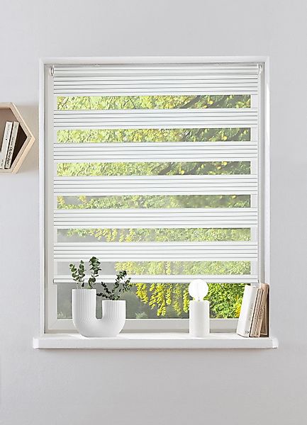 my home Doppelrollo »TIMELI«, Lichtschutz, Sichtschutz, ohne Bohren, freihä günstig online kaufen