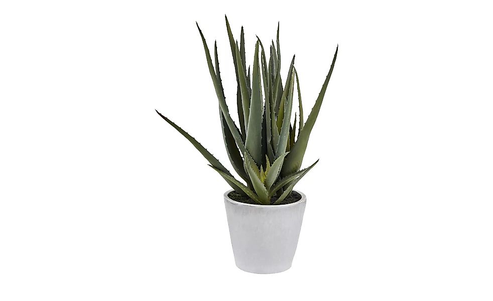 Aloe im Topf  Kunstblume - grün - Kunststoff, Keramik - 40 cm - Sconto günstig online kaufen
