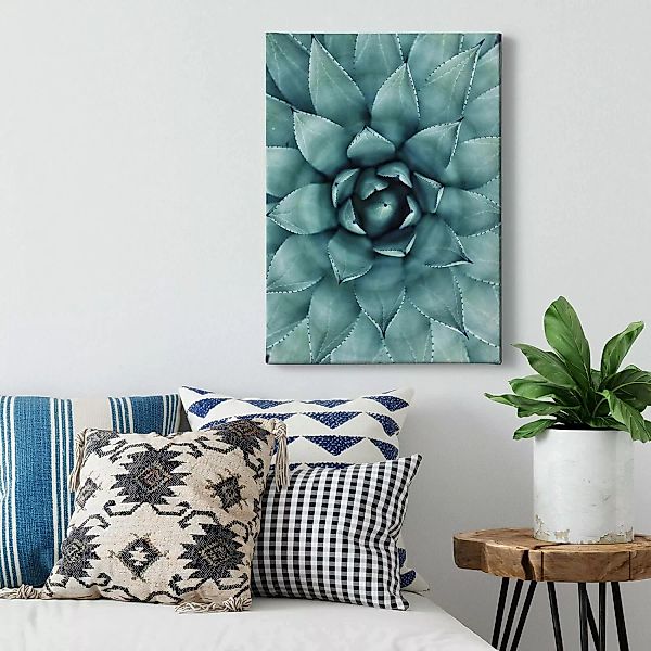 Bricoflor Agave Bild Auf Leinwand Wandbild Mit Pflanze In Grün Blau Ideal F günstig online kaufen