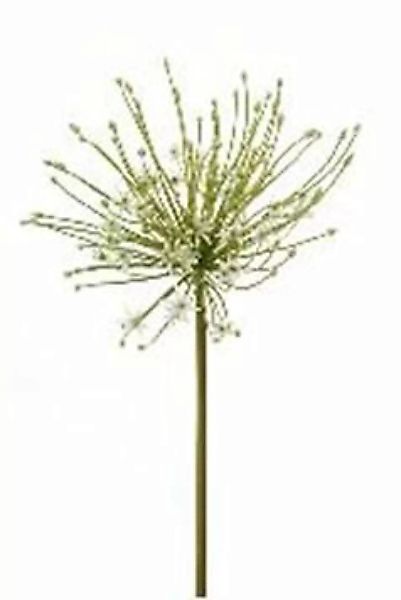 Flower & Style Kunstpflanzen & -blumen Allium Knospen weiss 116 cm (183164) günstig online kaufen