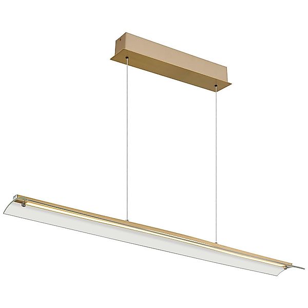 GLOBO LIGHTING LED-Hängeleuchte »MURIELLA«, 1 flammig, Leuchtmittel LED-Mod günstig online kaufen