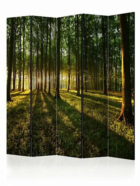artgeist Paravent Morning in the Forest II [Room Dividers] braun-kombi Gr. günstig online kaufen