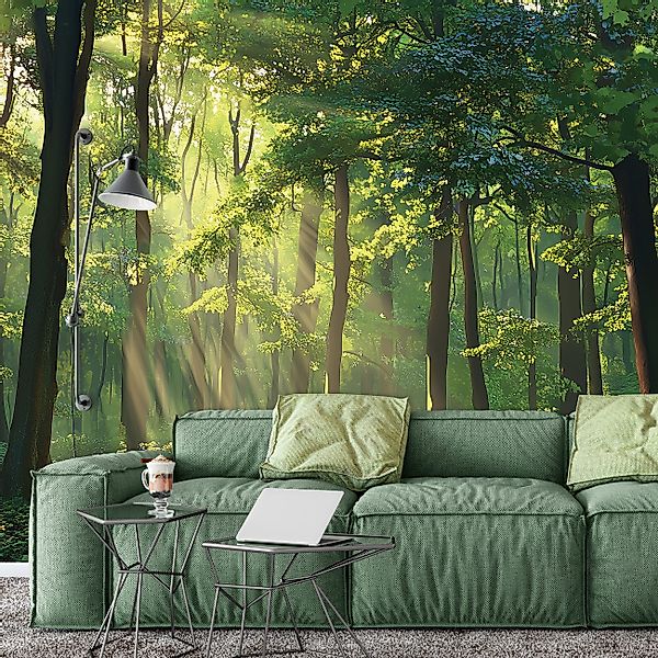 Wallarena Fototapete Wald Natur Landschaft Vlies günstig online kaufen