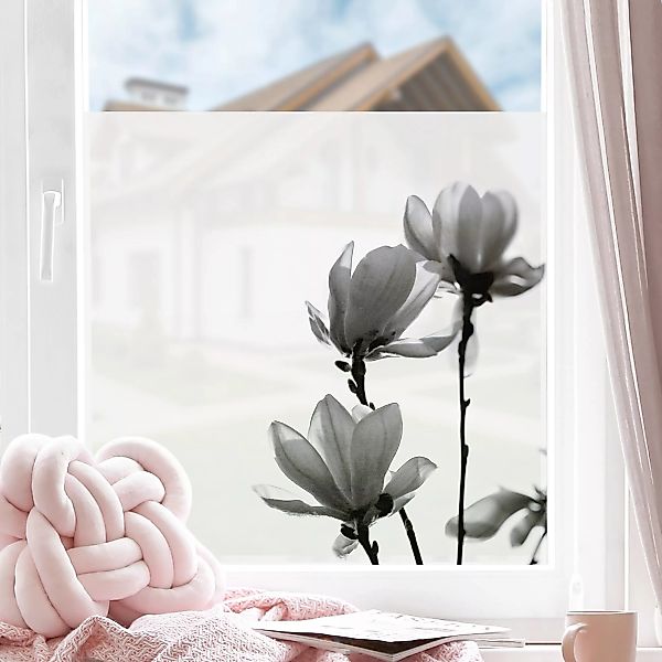 Fensterfolie Frühlingsbote Magnolie Schwarz Weiß günstig online kaufen