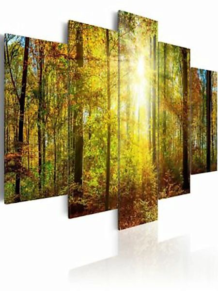 artgeist Wandbild Mystical Forest mehrfarbig Gr. 200 x 100 günstig online kaufen