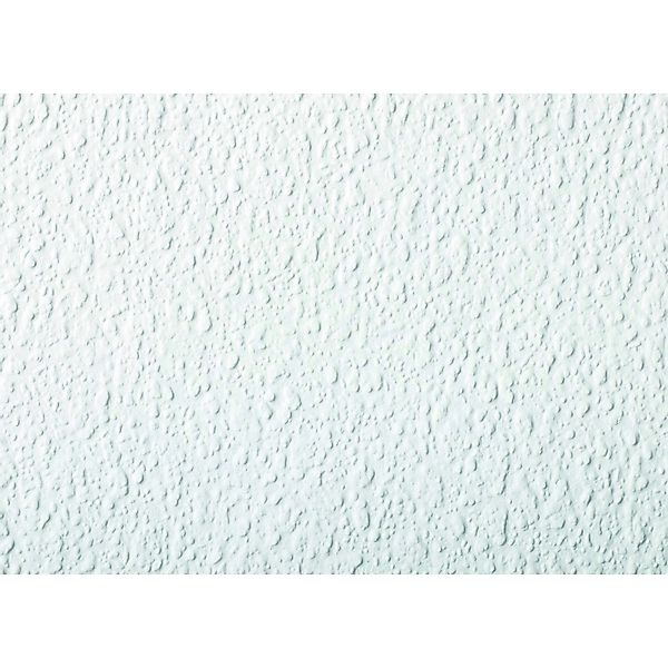 Rasch Vliestapete Wallton 2025, 127607, Einfarbig, Uni, 0.53 x 10.05 m, Wei günstig online kaufen