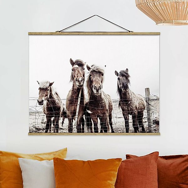 Stoffbild mit Posterleisten Island Pferde günstig online kaufen