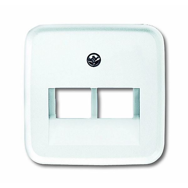 Busch-Jaeger Zentralscheibe aws f.UAE-Anschlussdo.2f 1803-02-214 - 2CKA0017 günstig online kaufen