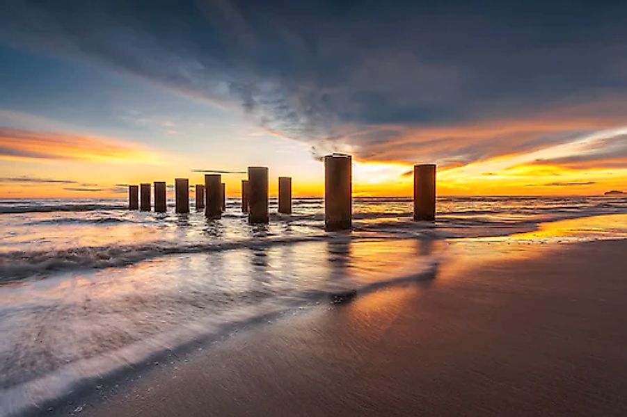 Papermoon Fototapete »Amazing Tree on the Rock« glatt günstig online kaufen