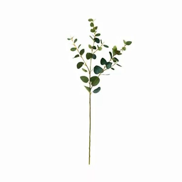 FLORISTA Eukalyptuszweig Länge 70cm günstig online kaufen