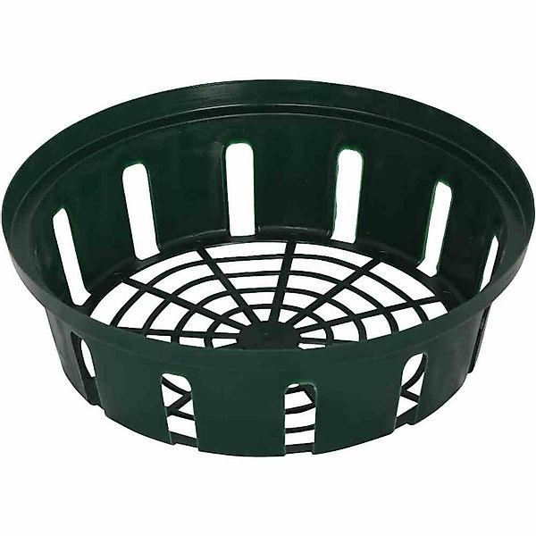 Siena Garden Pflanzschale Blumenzwiebel-Pflanzschale 22cm rund günstig online kaufen