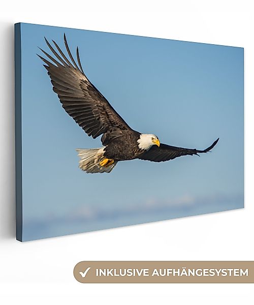 OneMillionCanvasses® Leinwandbild Vogel - Adler - günstig online kaufen