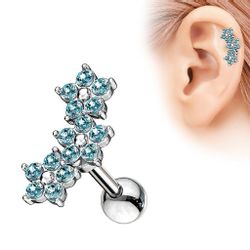 Taffstyle Piercing-Set Tragus Ohr Piercing Stecker günstig online kaufen