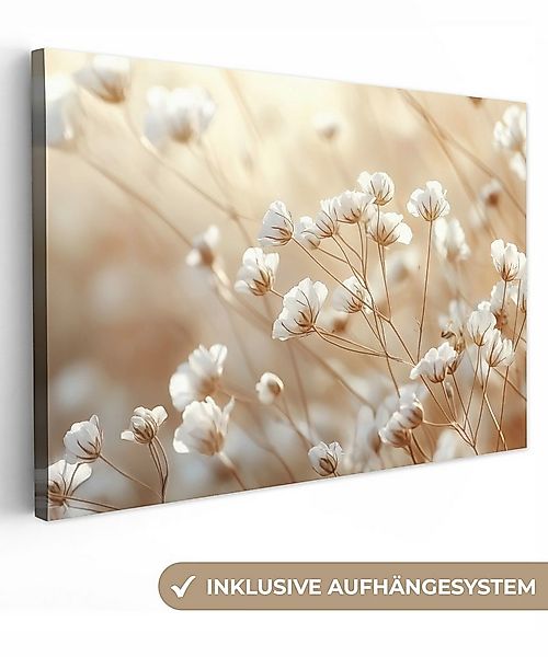 OneMillionCanvasses® Leinwandbild Wild - Blumen - Weiß, Fotodruck (1 St), L günstig online kaufen
