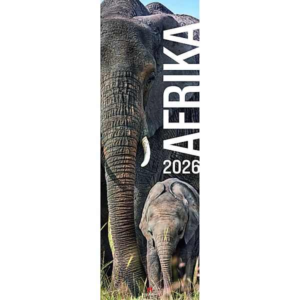 Afrika Vertikal Kalender 2026 günstig online kaufen