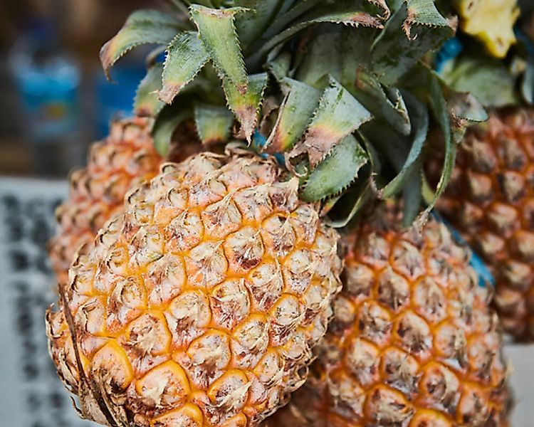 Fototapete "Ananas Bali" 2,00x2,50 m / Glattvlies Perlmutt günstig online kaufen