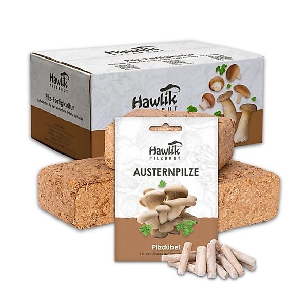 Hawlik Pilzbrut Austernpilz Pilzbeet-Set für Einfache Pilzzucht Im Garten m günstig online kaufen
