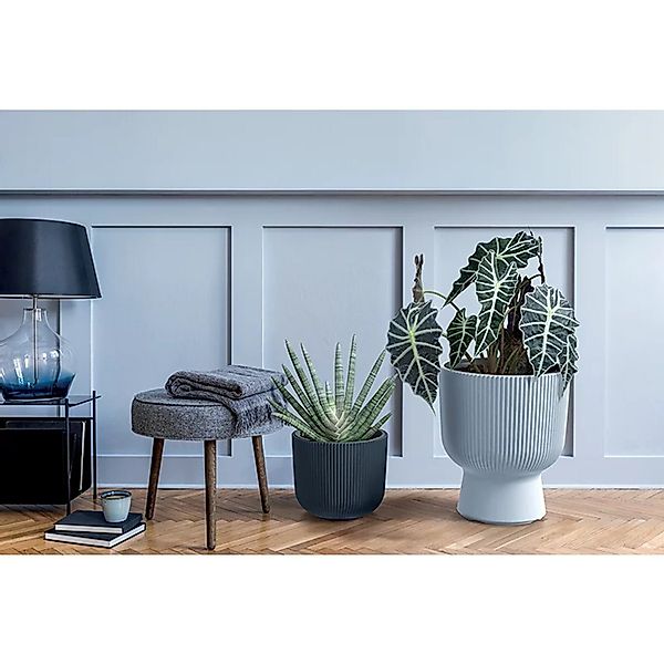 Prosperplast Blumentopf, Designer-Blumentopf Milly günstig online kaufen