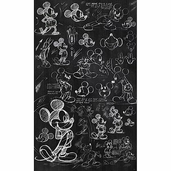 Komar Fototapete Vlies Mickey - Chalkboard  120 x 200 cm günstig online kaufen