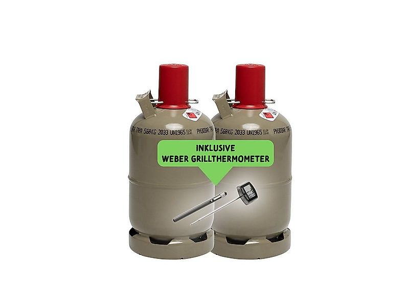 BlueCraft Camping-Gas 2x 5 kg Propan Gasflasche ungefüllt, 2x 5 kg Propanga günstig online kaufen