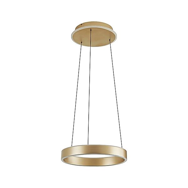 Lucande LED Tindra 10041995 Modern in Gold Messing aus Metall 1-flammig Woh günstig online kaufen