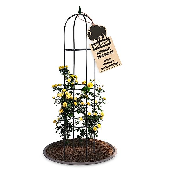 BigDean Rosenbogen Rankhilfe 40 x 200 günstig online kaufen