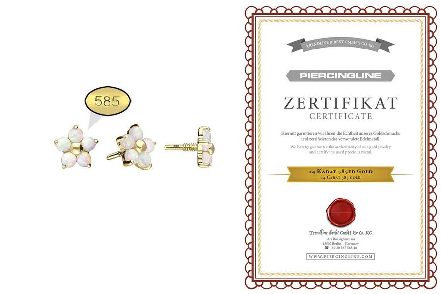 PIERCINGLINE Piercing-Set 14 Karat Gold Schraubaufsatz günstig online kaufen
