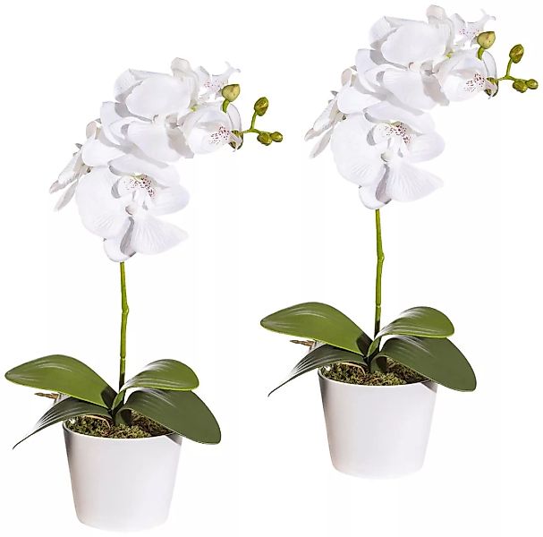 Creativ green Kunstpflanze "Orchidee Phalaenopsis", im Keramiktopf günstig online kaufen