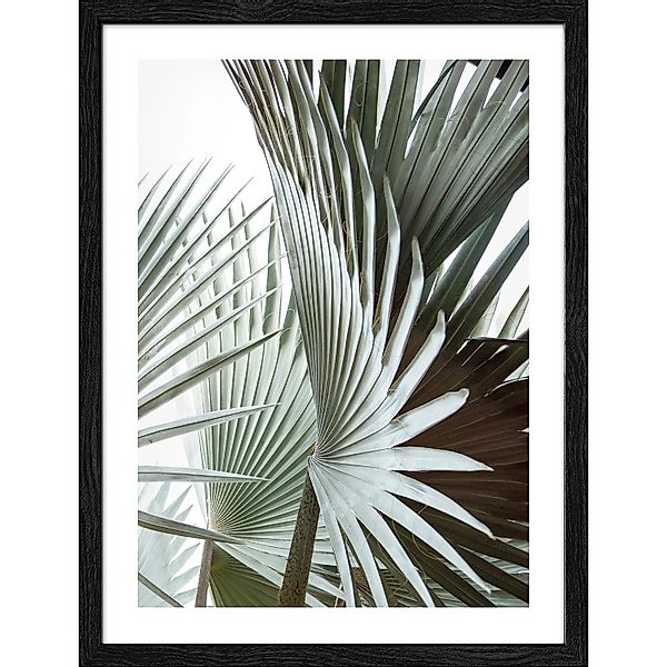 Pro Art Bild Framed Art Jungle Leaves III 40 cm x 30 cm günstig online kaufen