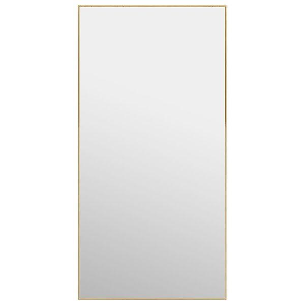 vidaXL Spiegel Türspiegel Golden 50x100 cm günstig online kaufen