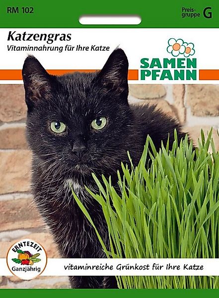 SAMEN PFANN Kräutersamen Katzengras vitaminreich, Futtergras Futterhafer Ti günstig online kaufen