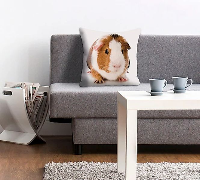 queence Dekokissen »Malte«, Kissenhülle,Meerschweinchen,Tiermotiv,Niedlich, günstig online kaufen