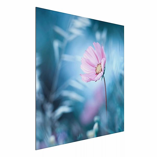 Alu-Dibond Bild - Quadrat Blüte in Pastell günstig online kaufen