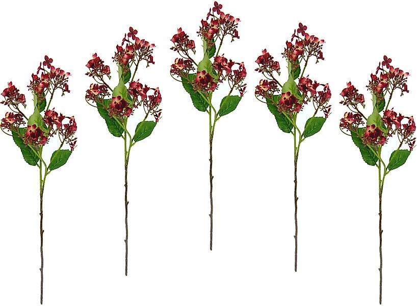 Kunstblume Blütenzweig, I.GE.A., Höhe 60 cm, günstig online kaufen