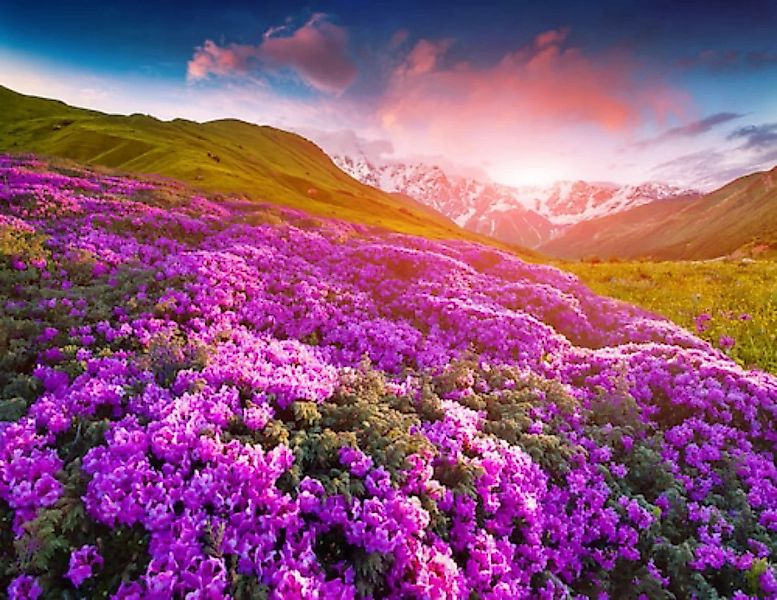 Papermoon Fototapete »Berge Blumen« günstig online kaufen