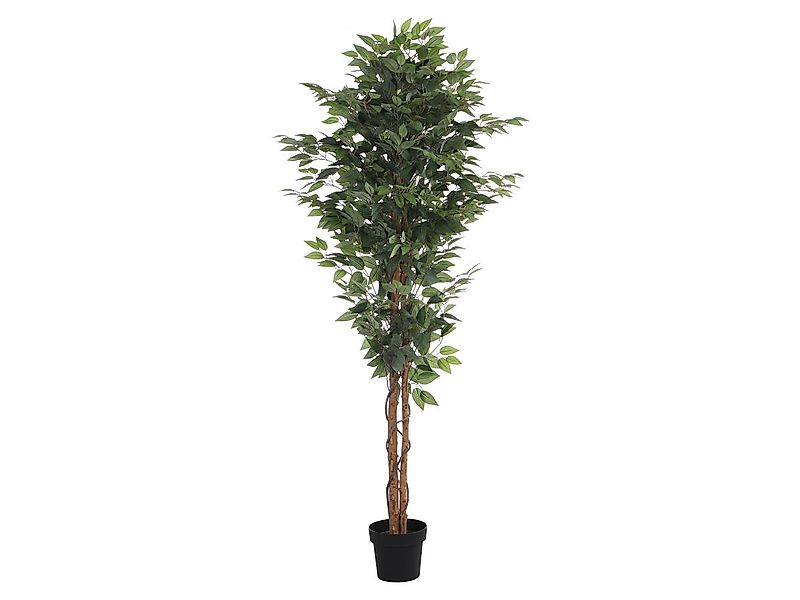 Kunstpflanze Ficus mit Topf - 180 cm - VALOPA günstig online kaufen
