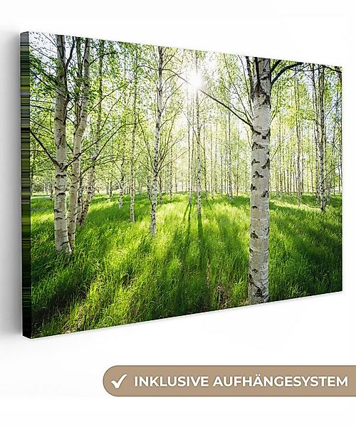 OneMillionCanvasses® Leinwandbild Birke - Wald - Frühling, Fotodruck (1 St) günstig online kaufen